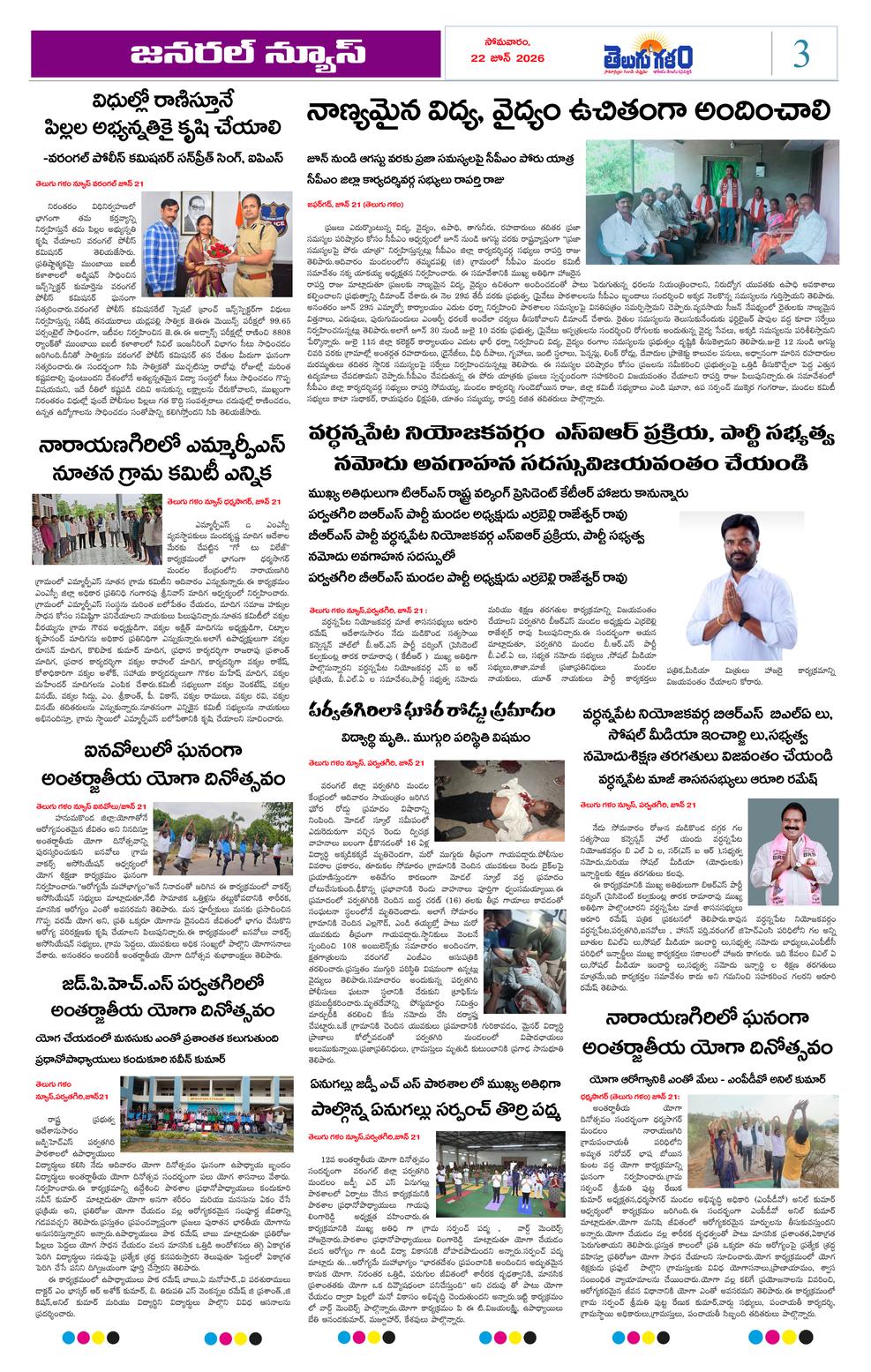 Page 3