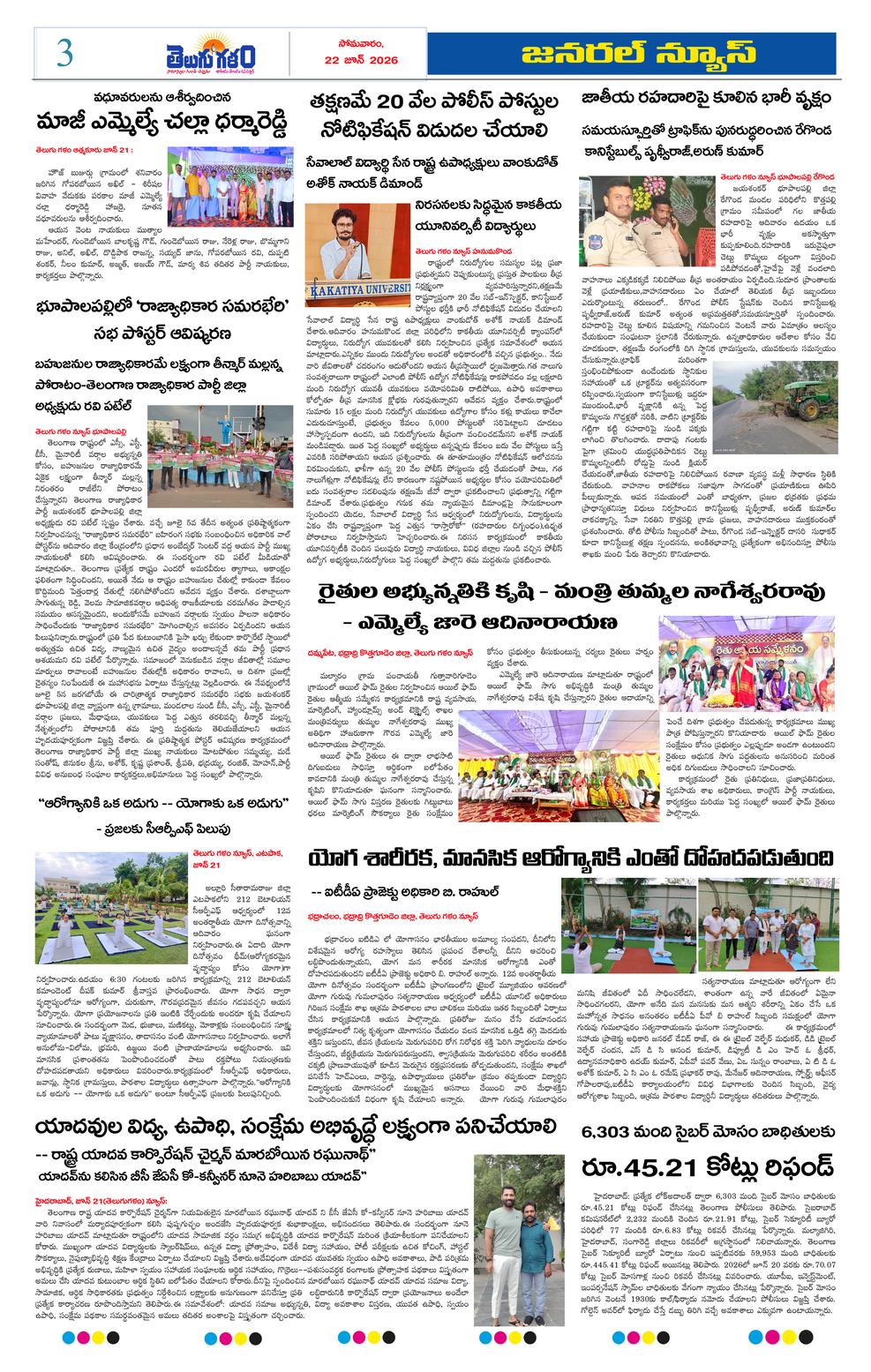 Page 3