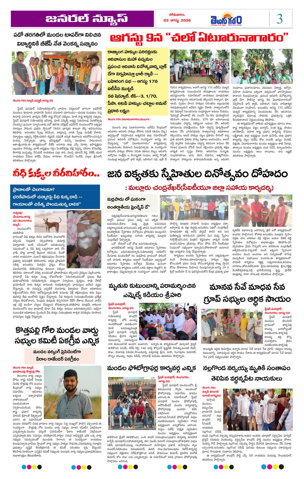 Page 3