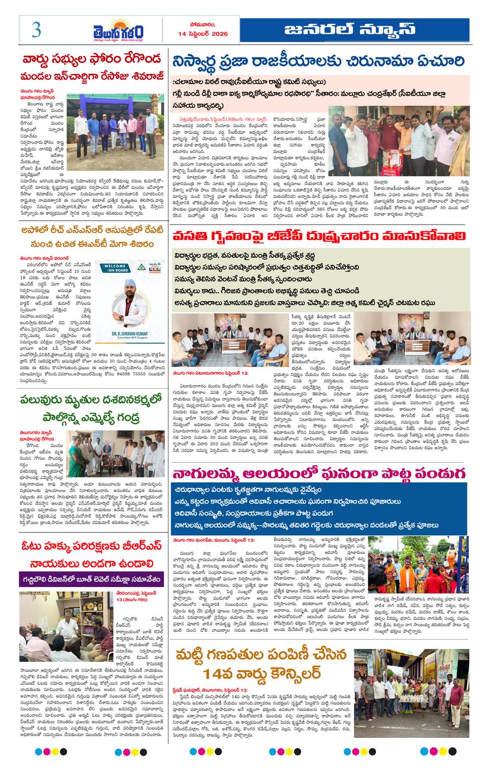 Page 3