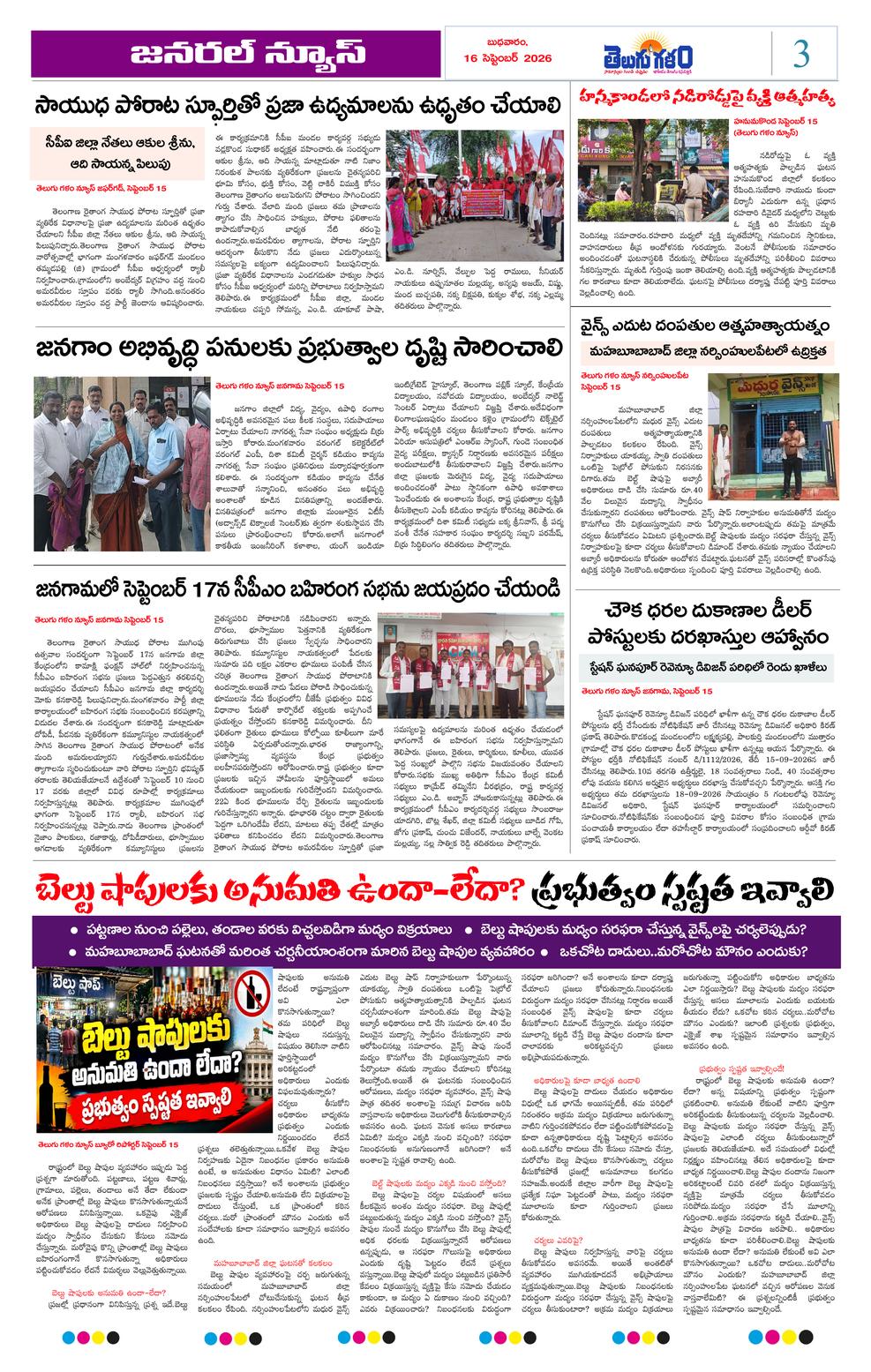 Page 3