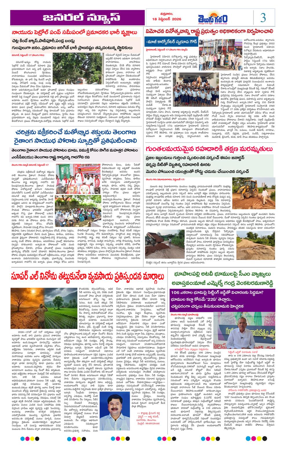 Page 3